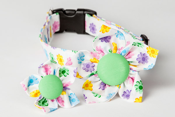 Bright fabric bowtie collar accessories